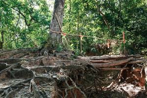 BIB: 
                            <button type="button" onclick="openModal(27800088)" class="btn btn-primary btn-sm float-right btn-popup" data-toggle="modal" data-target=".modal-high-quality">
                        <i class="fas fa-shopping-cart"></i> Add to Cart
                    </button>
                                            <button type="button" onclick="isThisMe(27800088, true)" class="btn btn-success btn-sm float-right btn-popup btn-isme hidden" data-toggle="tooltip" data-placement="bottom" title="นี่คือรูปของคุณใช่ไหม คลิกที่นี่เพื่อเอาเข้าอัลบั้ม">
                        <i class="fas fa-plus"></i> Add to album
                    </button>
                    <button type="button" onclick="isThisMe(27800088, false)" class="btn btn-warning btn-sm float-right btn-popup btn-isnotme hidden">
                        <i class="fas fa-ban"></i> Remove from album
                    </button>